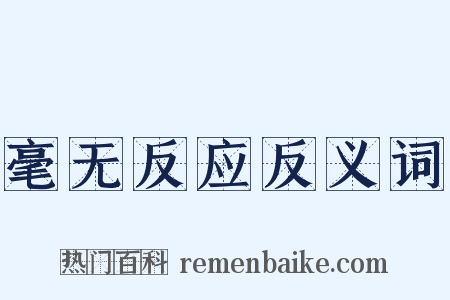 毫无反应反义词是什么意思的图片